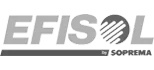 Efisol